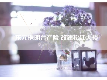 東元攜明臺產(chǎn)險(xiǎn) 改建松江大樓