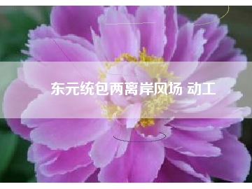 東元統(tǒng)包兩離岸風(fēng)場 動(dòng)工