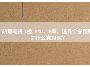 防爆電機(jī) 4極, IP55，F(xiàn)級(jí)，這幾個(gè)參數(shù)都是什么意思呢？