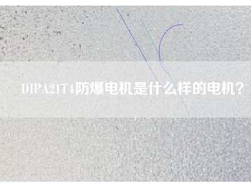 DIPA21T4防爆電機是什么樣的電機？