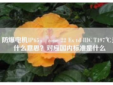 防爆電機IP65， zone 22 Ex td IIIC T197℃是什么意思？對應國內標準是什么