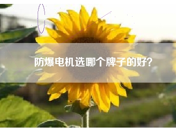 防爆電機(jī)選哪個(gè)牌子的好？