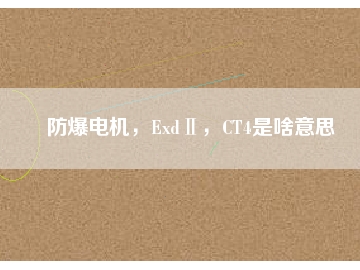 防爆電機(jī)，ExdⅡ，CT4是啥意思