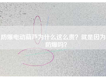 防爆電動(dòng)葫蘆為什么這么貴？就是因?yàn)槟芊辣瑔幔?></div>
                            <div   id=