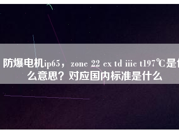 防爆電機ip65，zone 22 ex td iiic t197℃是什么意思？對應國內標準是什么