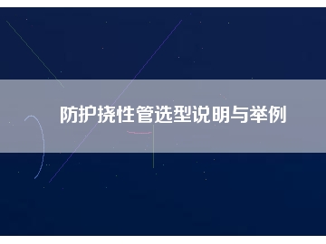 防護撓性管選型說明與舉例