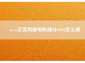 teco交流伺服電機細分3000怎么調(diào)