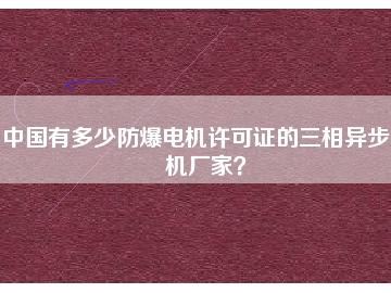 中國(guó)有多少防爆電機(jī)許可證的三相異步電機(jī)廠家？