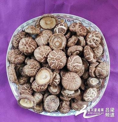 交口縣 '三寶'跨上'高速路'，走出深閨天下識