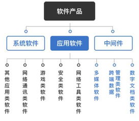 2017年中國軟件和信息技術(shù)服務行業(yè)監(jiān)管及主要政策法規(guī)分析