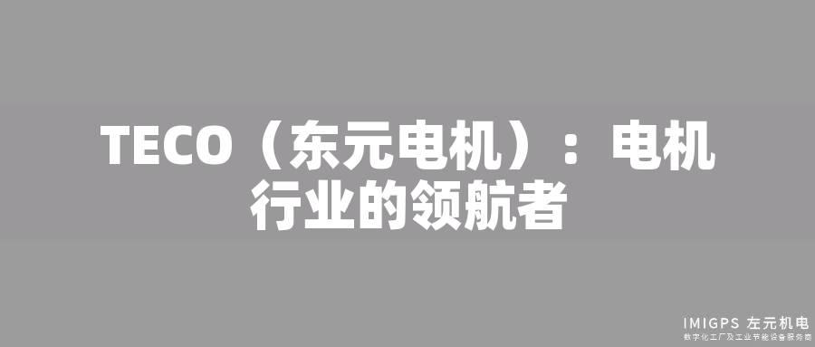 TECO（東元電機）：電機行業(yè)的領航者