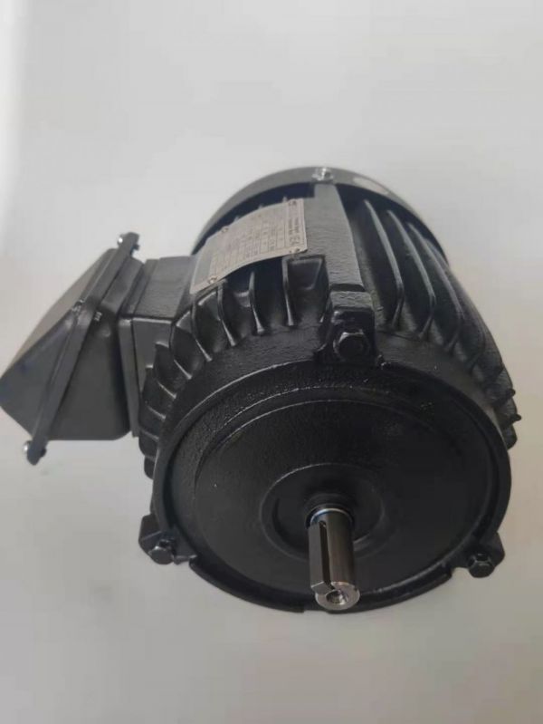 永磁電機(jī) DVEX  55KW  1000RPM  F#250M IE4效率電機(jī)