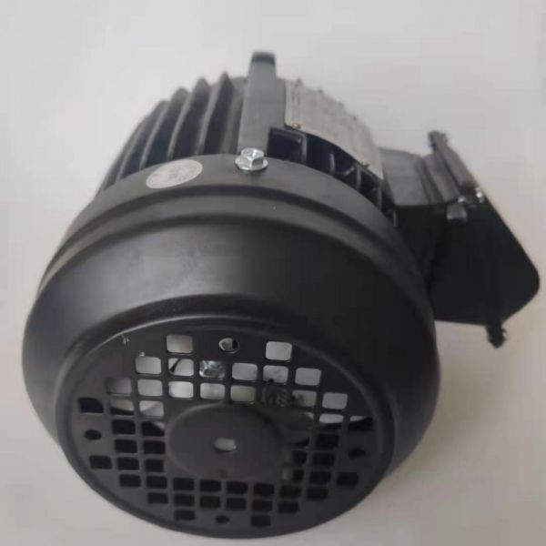 永磁電機(jī) DVEX  55KW  1000RPM  F#250M IE4效率電機(jī)