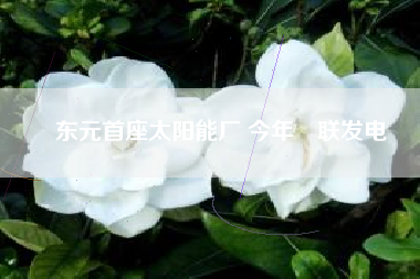東元首座太陽(yáng)能廠 今年併聯(lián)發(fā)電