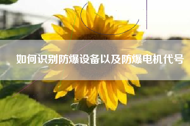 如何識別防爆設(shè)備以及防爆電機(jī)代號