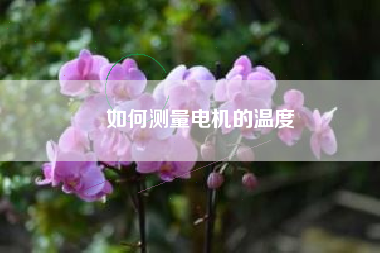 如何測量電機的溫度
