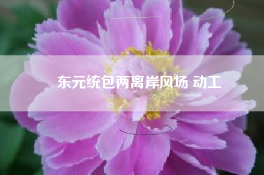 東元統(tǒng)包兩離岸風場 動工