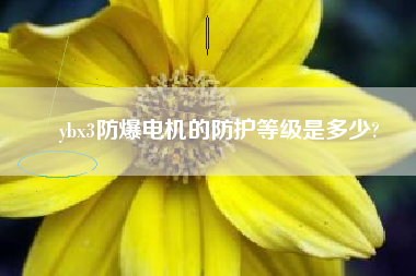 ybx3防爆電機(jī)的防護(hù)等級是多少?