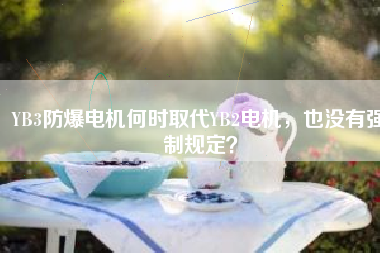 YB3防爆電機(jī)何時取代YB2電機(jī)，也沒有強(qiáng)制規(guī)定？