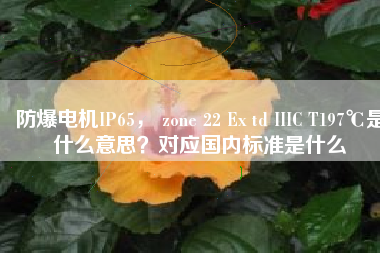 防爆電機IP65， zone 22 Ex td IIIC T197℃是什么意思？對應(yīng)國內(nèi)標準是什么