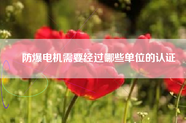 防爆電機(jī)需要經(jīng)過哪些單位的認(rèn)證