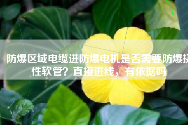 防爆區(qū)域電纜進(jìn)防爆電機是否需要防爆撓性軟管？直接進(jìn)線，有依據(jù)嗎