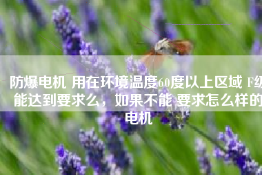 防爆電機 用在環(huán)境溫度60度以上區(qū)域 F級能達到要求么，如果不能 要求怎么樣的電機