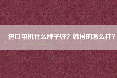 進(jìn)口電機(jī)什么牌子好?韓國(guó)的怎么樣?