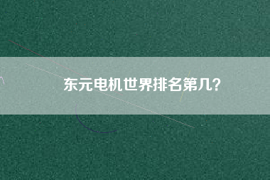 東元電機(jī)世界排名第幾？