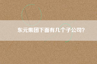 東元集團下面有幾個子公司？