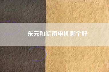 東元和皖南電機(jī)哪個好
