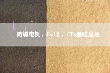 防爆電機(jī)，ExdⅡ，CT4是啥意思