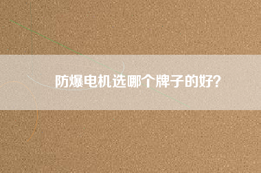 防爆電機(jī)選哪個(gè)牌子的好？