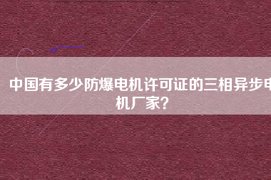 中國(guó)有多少防爆電機(jī)許可證的三相異步電機(jī)廠家？