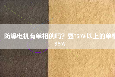防爆電機有單相的嗎？要750W以上的單相220V