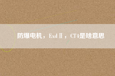 防爆電機，ExdⅡ，CT4是啥意思