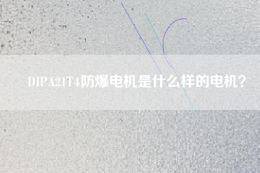 DIPA21T4防爆電機是什么樣的電機？
