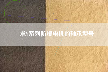 求Y系列防爆電機(jī)的軸承型號