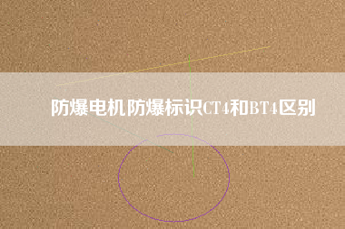 防爆電機防爆標(biāo)識CT4和BT4區(qū)別